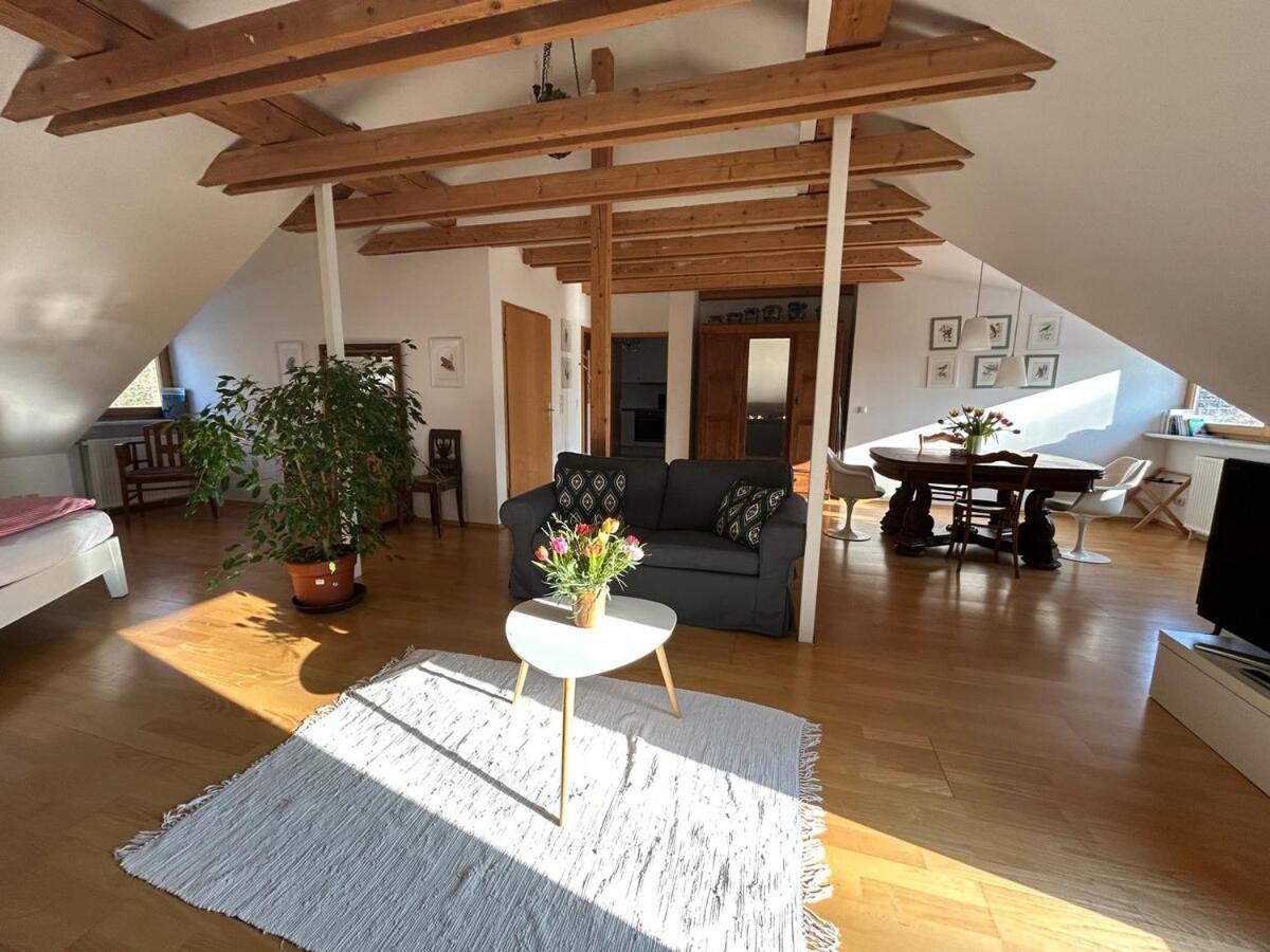 Grosse Wohnung Mit Dachterrasse In Штарнберг Екстер'єр фото